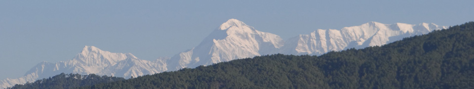 Shipping & Delivery Policy