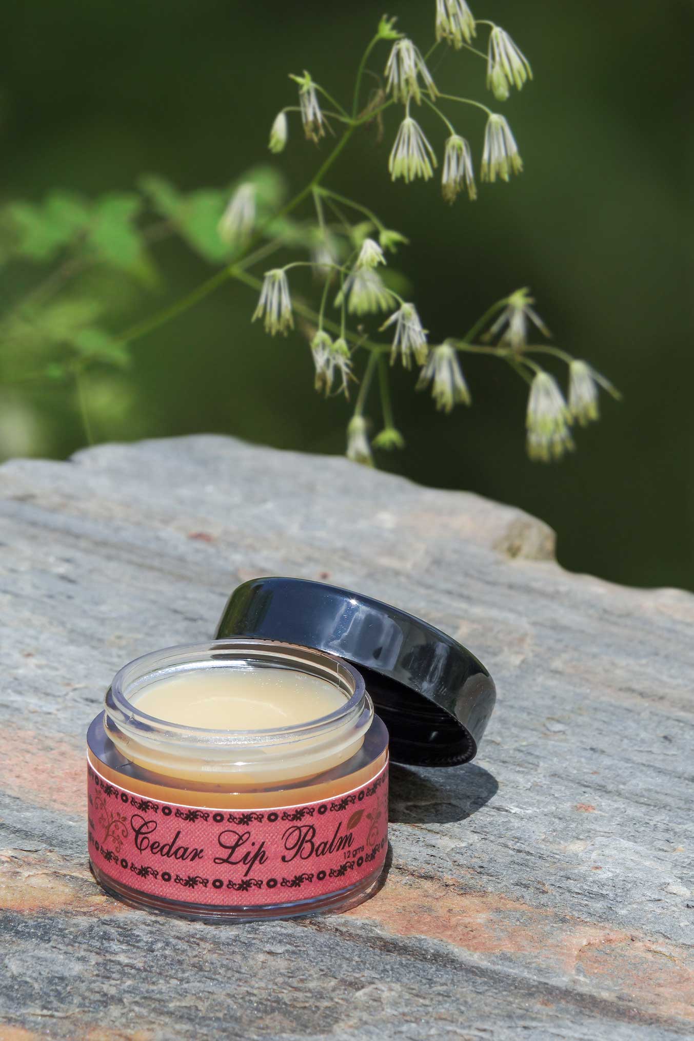 Natural Cedar Lipbalm Natural Cedar Lipbalm