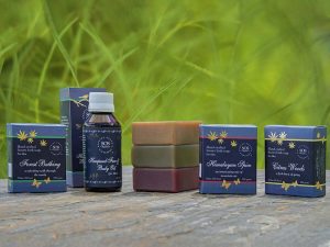 For the Men in Your Life